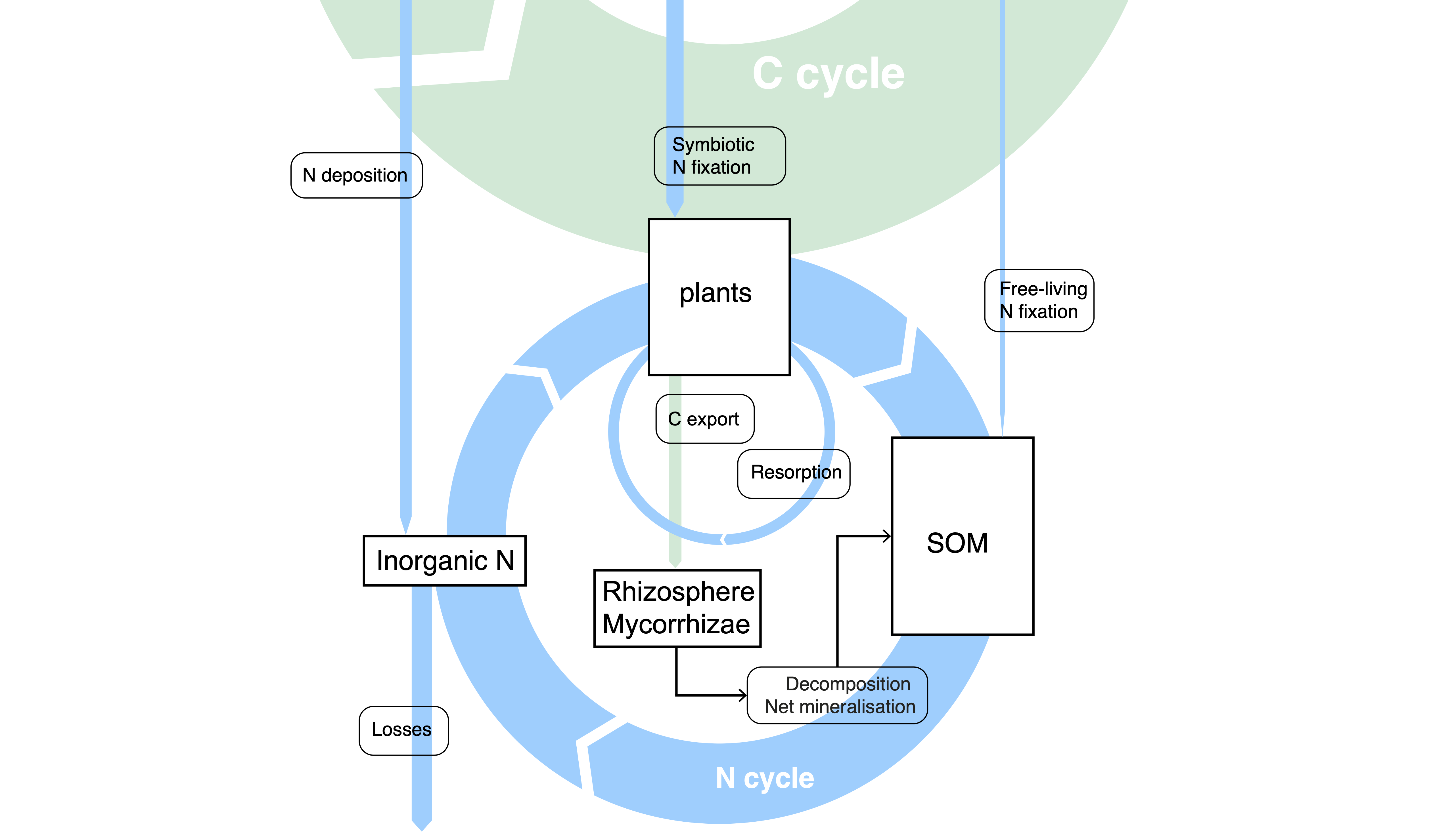 Nitrogen pools and transfers in a terrestrial ecosystem.